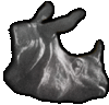 rgo.gif (6765 bytes)